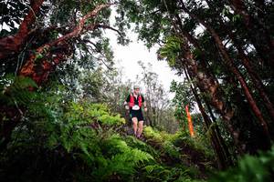 BIB: 
                            <button type="button" onclick="openModal(26202941)" class="btn btn-primary btn-sm float-right btn-popup" data-toggle="modal" data-target=".modal-high-quality">
                        <i class="fas fa-shopping-cart"></i> Add to Cart
                    </button>
                                            <button type="button" onclick="isThisMe(26202941, true)" class="btn btn-success btn-sm float-right btn-popup btn-isme hidden" data-toggle="tooltip" data-placement="bottom" title="นี่คือรูปของคุณใช่ไหม คลิกที่นี่เพื่อเอาเข้าอัลบั้ม">
                        <i class="fas fa-plus"></i> Add to album
                    </button>
                    <button type="button" onclick="isThisMe(26202941, false)" class="btn btn-warning btn-sm float-right btn-popup btn-isnotme hidden">
                        <i class="fas fa-ban"></i> Remove from album
                    </button>